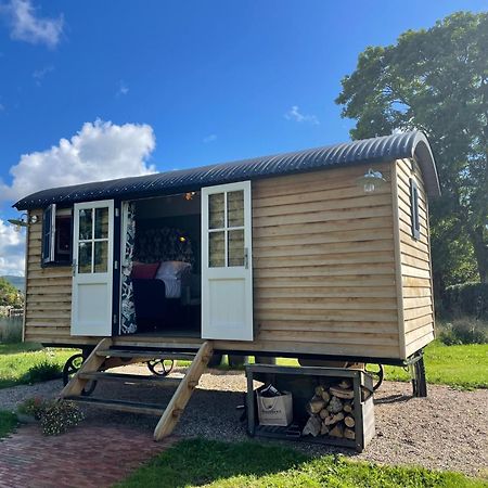 Toadland Shepherd Huts ダラム エクステリア 写真